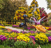 Flower Festival